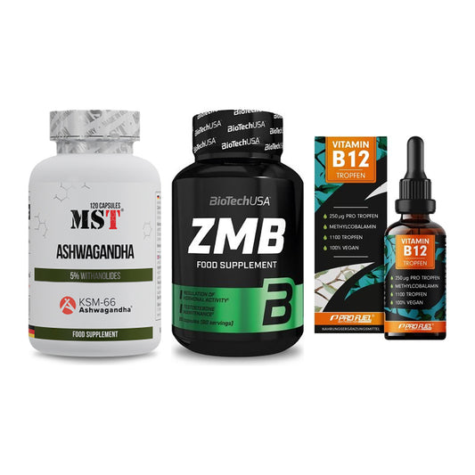 Stress & Balance: MST Ashwagandha + BioTech ZMB + ProFuel Vitamin – alle enthaltenen Artikel