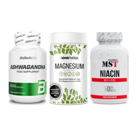 Stress & Balance: BioTech Ashwaga + Sinob Magnesium + MST Niacin – alle enthaltenen Artikel