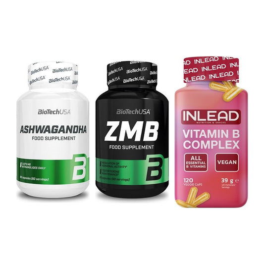 Stress & Balance: BioTech Ashwaga + BioTech ZMB + INLEAD Vitamin – alle enthaltenen Artikel