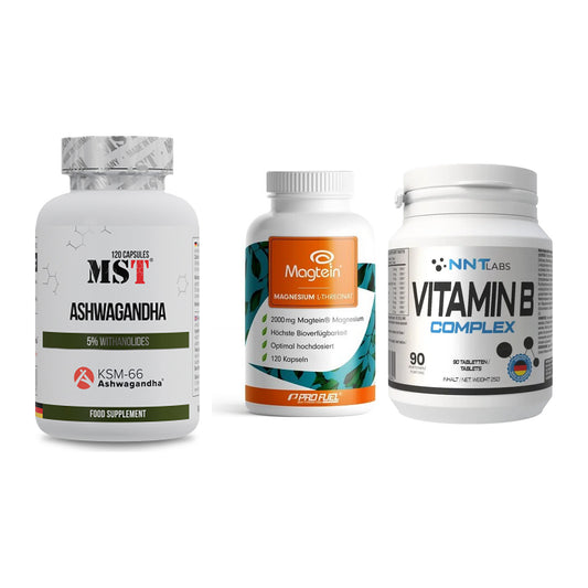 Stress & Balance: MST Ashwagandha + ProFuel Magnesi + NNT Vitamin B – alle enthaltenen Artikel