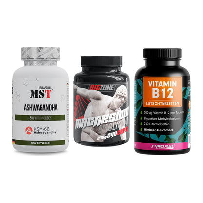 Stress & Balance: MST Ashwagandha + Big Zone + ProFuel Vitamin – alle enthaltenen Artikel