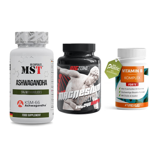 Stress & Balance: MST Ashwagandha + Big Zone + ProFuel Vitamin – alle enthaltenen Artikel