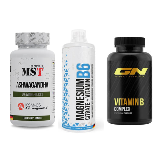 Stress & Balance: MST Ashwagandha + MST Magnesium + GN Vitamin – alle enthaltenen Artikel