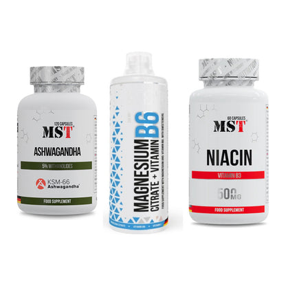 Stress & Balance: MST Ashwagandha + MST Magnesium + MST Niacin – alle enthaltenen Artikel