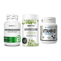 Stress & Balance: BioTech Ashwaga + Sinob Magnesium + NNT Vitamin B – alle enthaltenen Artikel