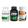 Stress & Balance: BioTech Ashwaga + BioTech ZMB + ProFuel BIOTIN – alle enthaltenen Artikel