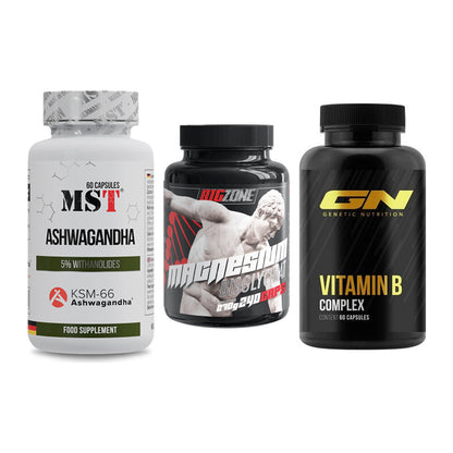 Stress & Balance: MST Ashwagandha + Big Zone + GN Vitamin – alle enthaltenen Artikel