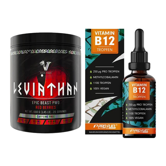 Koffein & B-Vitamine: Viking Power Leviathan + ProFuel Vitamin B12 – alle enthaltenen Artikel