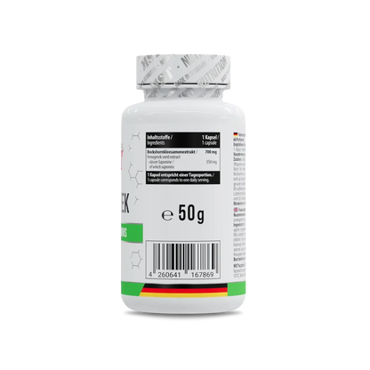MST Marken-Großset: Lecithin + EGG Protein + 3 weitere – MST - Fenugreek 60 Kapseln