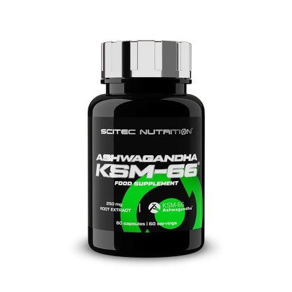 Schlaf & Erholung: BioTech Micella + ESN Magnesium + Scitec KSM-66 – Scitec KSM-66® Ashwagandha 60 Kapseln