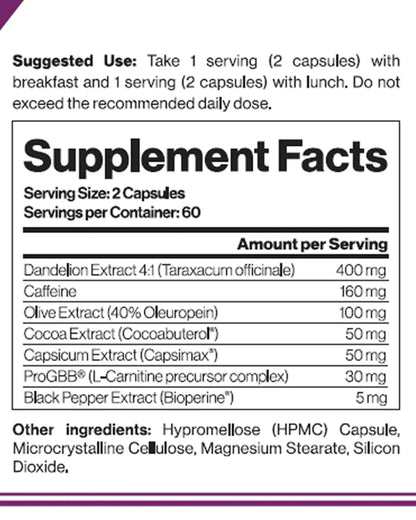 Diät-Duo: USP Labs OxyElite Pro + Nuclear Nutrition IGNITER Booster – USP Labs OxyElite Pro 120 Kapseln