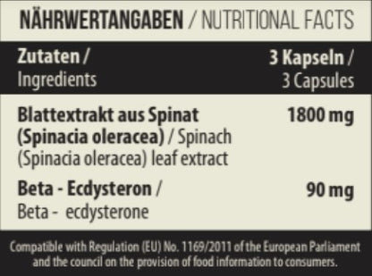 MST Marken-Großset: Healthy Ashwagand + L-Carnitine + 3 weitere – MST - Beta Ecdysterone 120 Kapseln
