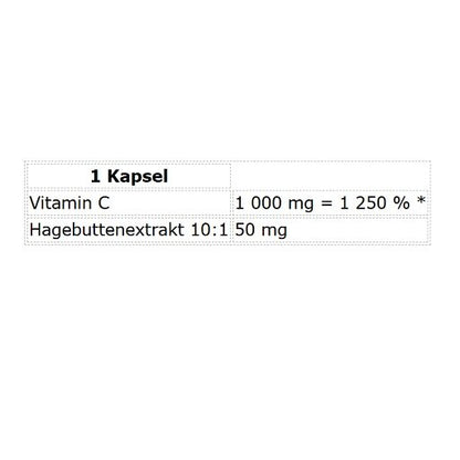 Eisen & Vitamin C: Scitec Iron Pro + Nutrend Vitamin C 1000 mg – Nutrend Vitamin C 1000 mg mit Hagebutten 60 Kapseln