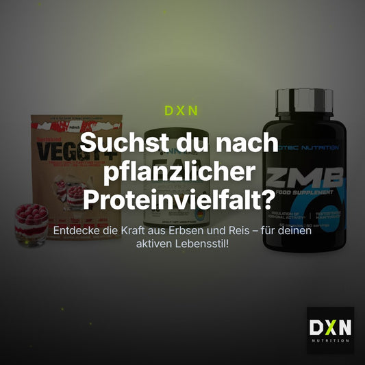 Pflanzliches Set: Sinob VEGGY + VEGAN PROTEIN + NNT EAA + Scitec ZMB – Clean Showcase Plus