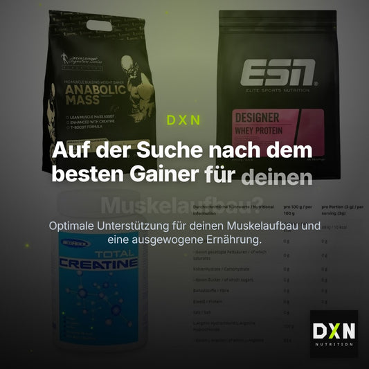 Masseaufbau für Fortgeschrittene: Kevin Levrone Anabolic + 3 weitere – Clean Showcase Plus