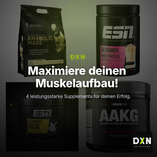 Masseaufbau für Fortgeschrittene: Kevin Levrone Anabolic + 3 weitere – Clean Showcase Plus