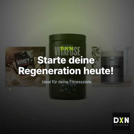 Regenerations-Set: Sinob Honest + Big Zone + Sinob Kollagen – Clean Showcase Plus
