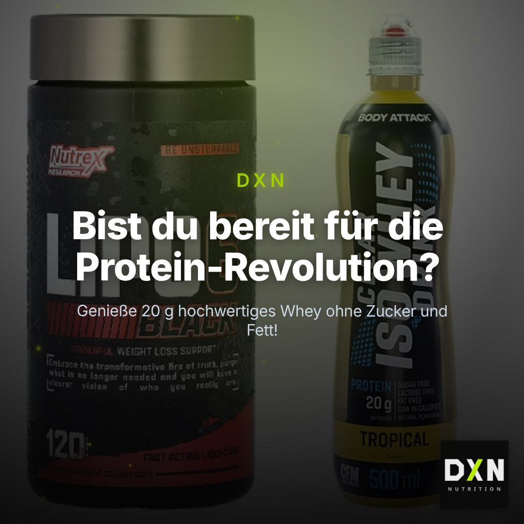 Diät-Duo: Nutrex Lipo 6 black 120 + Body Attack Clear Iso Whey – Clean Showcase Plus