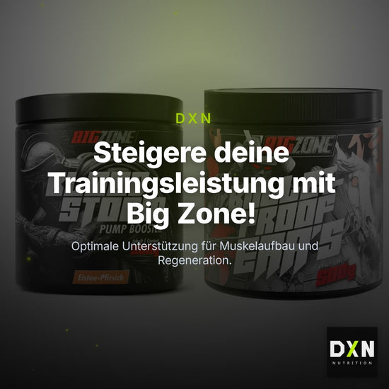 Trainings-Set: Big Zone Bloodstorm 2.0 + Big Zone Bulletproof EAA's – Clean Showcase Plus