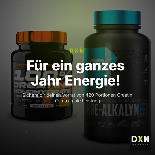 Creatin-Jahresvorrat: Scitec Creatine – 365 Tage, 420 Portionen – Clean Showcase Plus