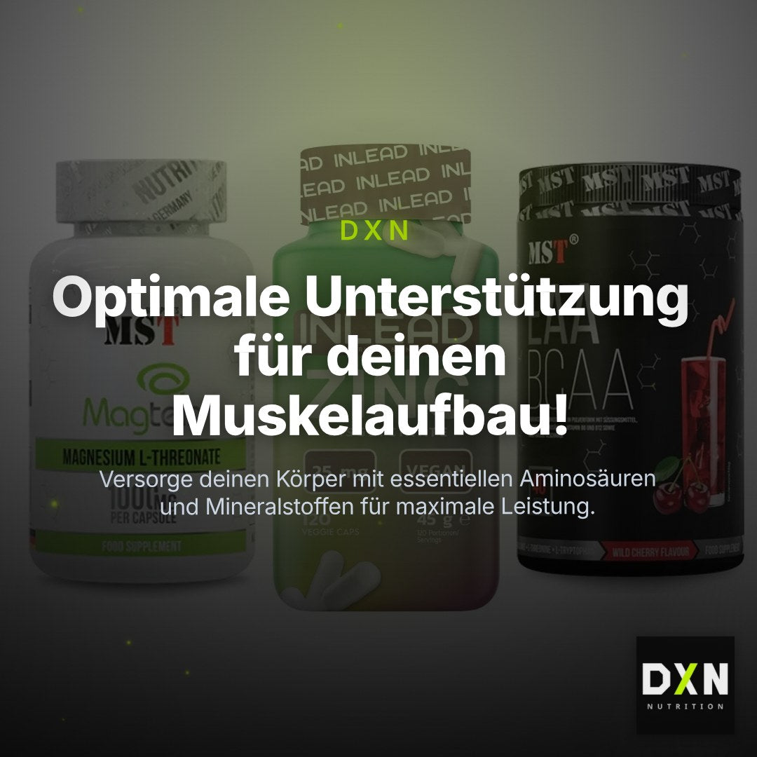 Ausdauer-Set: MST Magnesium + INLEAD Zink + MST EAA & BCAA – Clean Showcase Plus