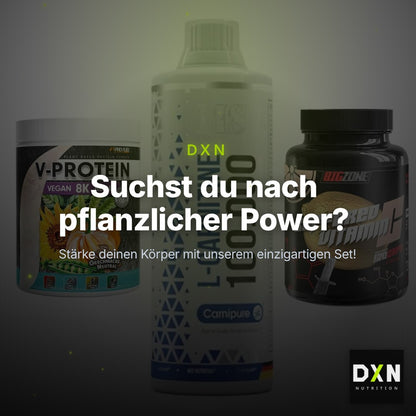 Pflanzliches Set: ProFuel V-Prote + MST L-Carnitine + Big Zone – Clean Showcase Plus