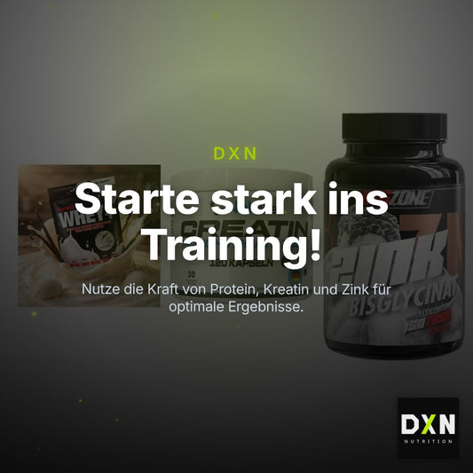 Einsteiger-Set: Sinob Honest + NNT Creatin 1000 + Big Zone Zink – Clean Showcase Plus