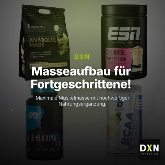 Masseaufbau für Fortgeschrittene: Kevin Levrone Anabolic + 3 weitere – Clean Showcase Plus