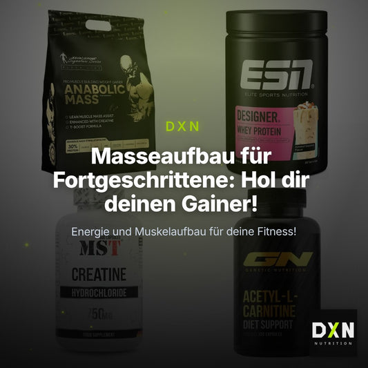 Masseaufbau für Fortgeschrittene: Kevin Levrone Anabolic + 3 weitere – Clean Showcase Plus