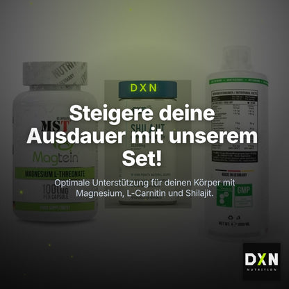 Ausdauer-Set: MST Magnesium + Applied Nutritio + MST L-Carnitine – Clean Showcase Plus