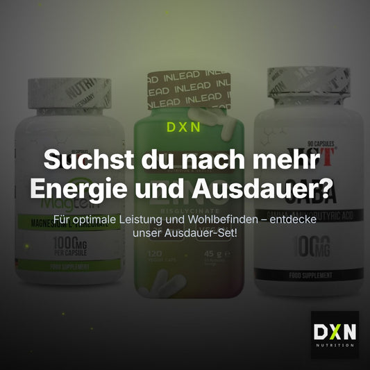 Ausdauer-Set: MST Magnesium + INLEAD Zink + MST GABA 1000mg – Clean Showcase Plus