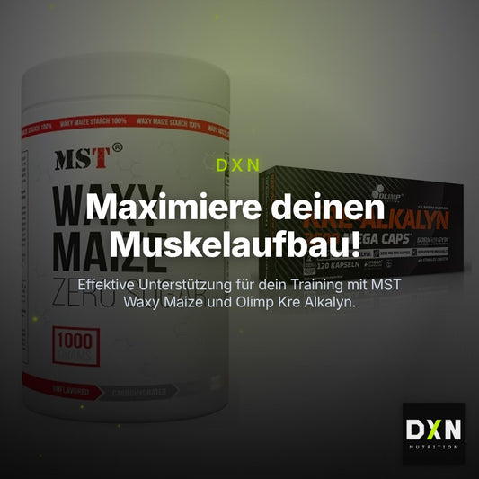 Masseaufbau-Set: MST WAXY MAIZE + Olimp Kre Alkalyn 2500 – Clean Showcase Plus