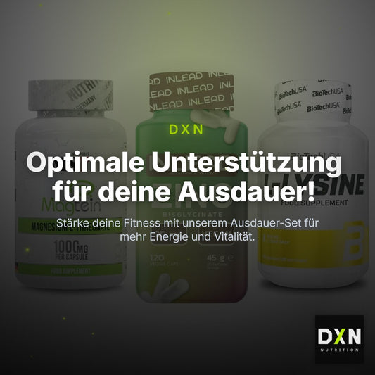 Ausdauer-Set: MST Magnesium + INLEAD Zink + BioTech L-Lysine – Clean Showcase Plus