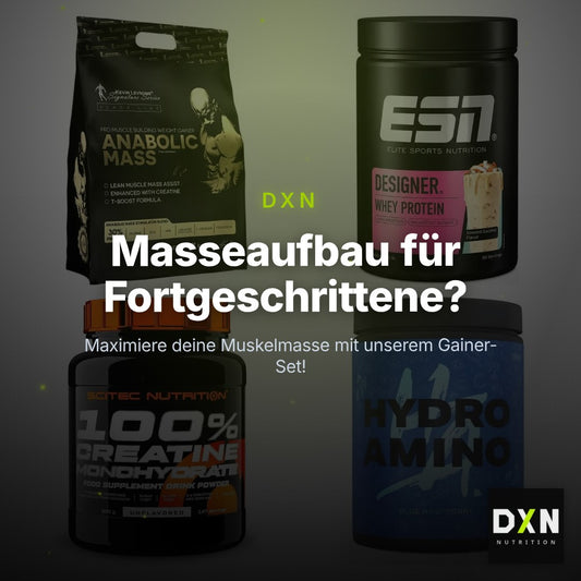 Masseaufbau für Fortgeschrittene: Kevin Levrone Anabolic + 3 weitere – Clean Showcase Plus