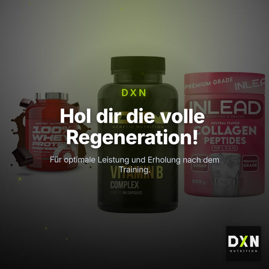 Regenerations-Set: Scitec 100% + GN Vitamin + INLEAD Collagen – Clean Showcase Plus