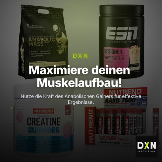 Masseaufbau für Fortgeschrittene: Kevin Levrone Anabolic + 3 weitere – Clean Showcase Plus