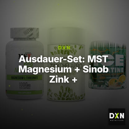Ausdauer-Set: MST Magnesium + Sinob Zink + FA Nutrition ICE – Clean Showcase Plus