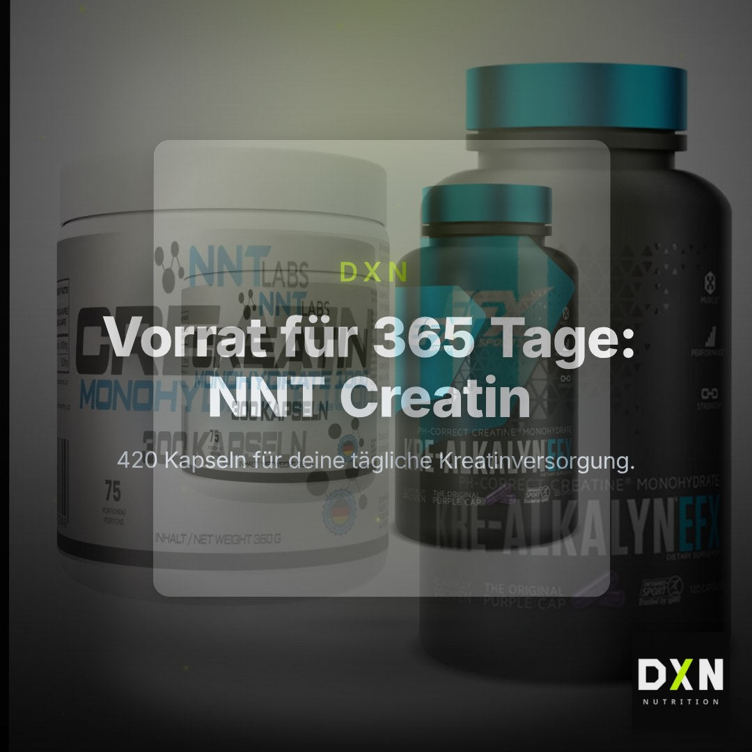 Creatin-Jahresvorrat: NNT Creatin 1000 mg – 365 Tage, 420 Kapseln – Clean Showcase Plus