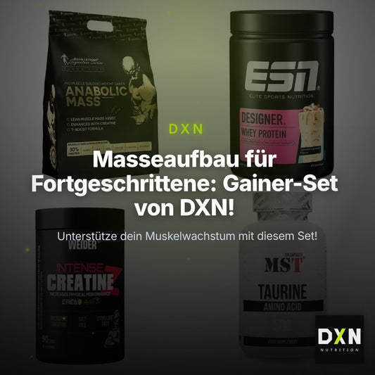 Masseaufbau für Fortgeschrittene: Kevin Levrone Anabolic + 3 weitere – Clean Showcase Plus