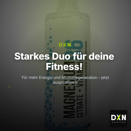 Basis-Set: ON Whey Gold Standard + MST Magnesium B6 – Clean Showcase Plus