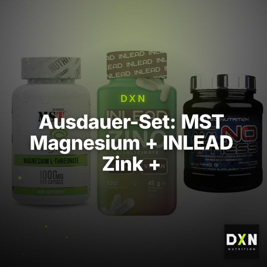 Ausdauer-Set: MST Magnesium + INLEAD Zink + Scitec Ami-NO – Clean Showcase Plus