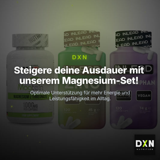 Ausdauer-Set: MST Magnesium + INLEAD Zink + INLEAD L-Tryptop – Clean Showcase Plus
