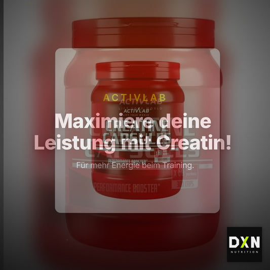 Activlab Creatine Capsules 300 Kapseln, 300 Stk. – Clean Showcase Plus