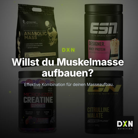 Masseaufbau für Fortgeschrittene: Kevin Levrone Anabolic + 3 weitere – Clean Showcase Plus