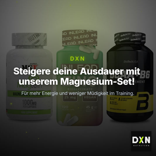 Ausdauer-Set: MST Magnesium + INLEAD Zink + BioTech BCAA+B6 – Clean Showcase Plus
