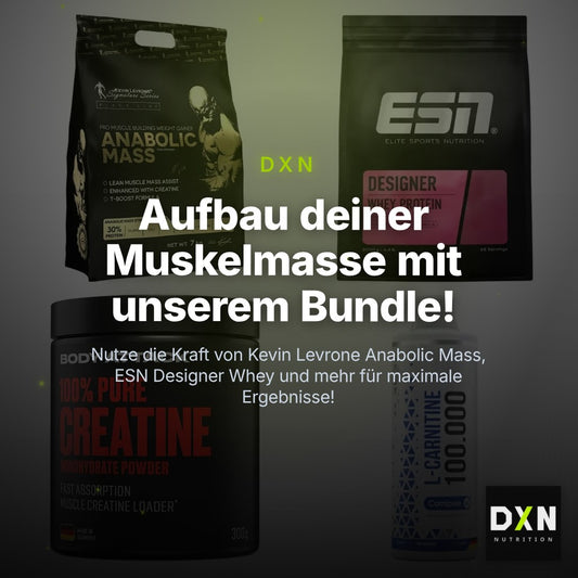 Masseaufbau für Fortgeschrittene: Kevin Levrone Anabolic + 3 weitere – Clean Showcase Plus