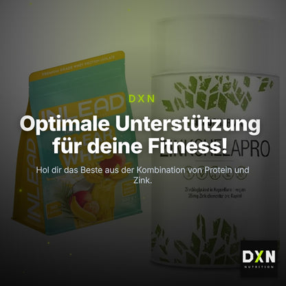 Basis-Set: INLEAD Clear Whey Isolate + Sinob Zink Chelapro – Clean Showcase Plus