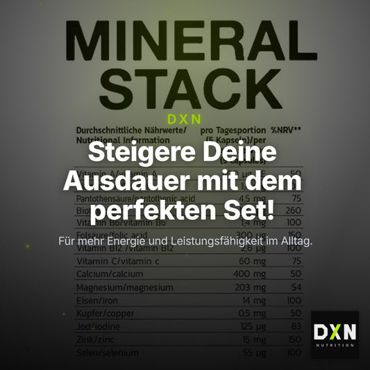 Ausdauer-Set: MST Magnesium + INLEAD Mineral + MST Arginine HCL – Clean Showcase Plus