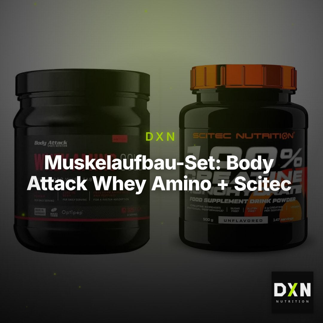 Muskelaufbau-Set: Body Attack Whey Amino + Scitec Creatine – Clean Showcase Plus