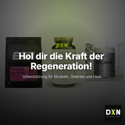 Regenerations-Set: ESN Designer + Evolite Nutriti + Sinob Kollagen – Clean Showcase Plus